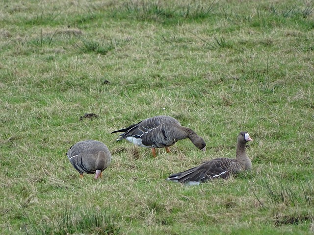 原曼联青年队球员目前正在卖蛋糕，他是小麦、拉什福德前队友