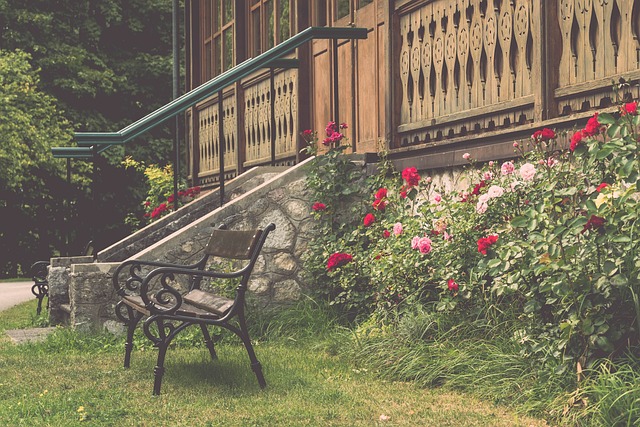 这无疑给球 这无疑给球