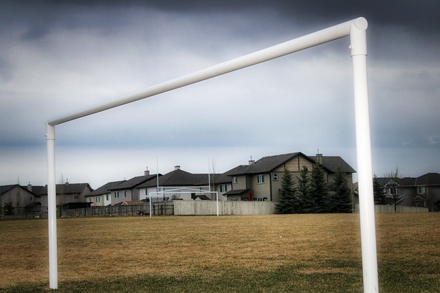 焕发新的生 焕发新的生