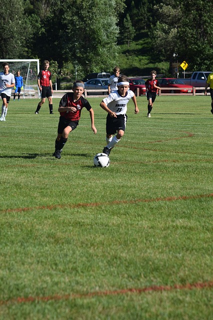 提升明显 提升明显